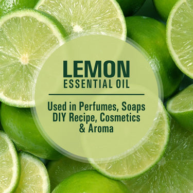 Old Tree Pure Lime Essential Oil for Skin, Hair, Diffuser, Candle Making (15ml) - Undiluted and Natural Perfume Oil with Dropper for Fragrance, Stress Relief and Aromatherapy